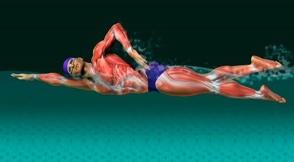 Perder peso rápido com a natação - benefícios musculares foto
